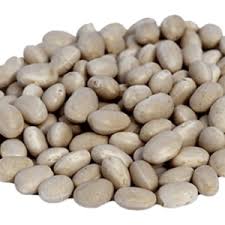 Porotos burros