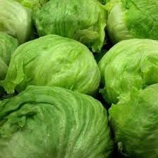 Lechuga escarola
