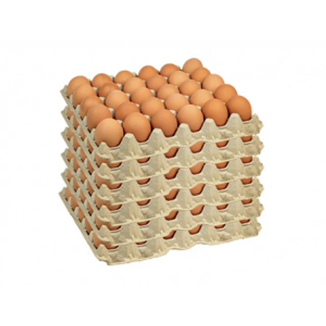 Caja huevos extra color